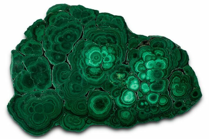 Flowery Polished Malachite Slab - DR Congo #350837